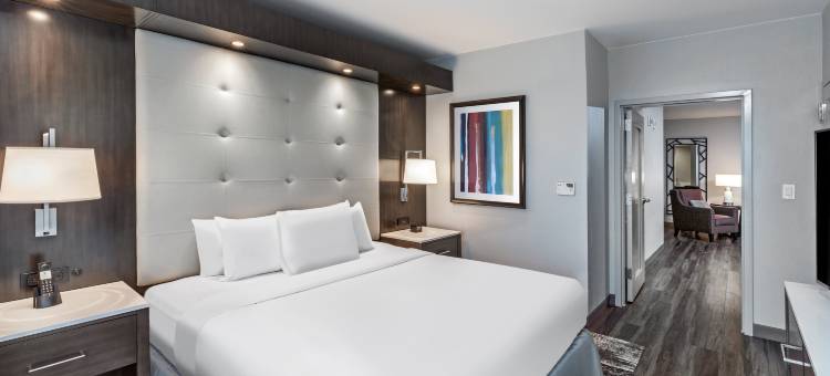 休斯顿能源走廊希尔顿安泊酒店(Embassy Suites by Hilton Houston Energy Corridor)图片