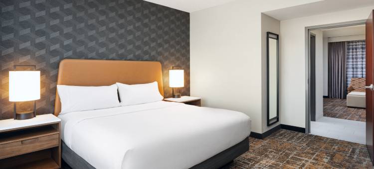 亨茨维尔希尔顿安泊水疗酒店(Embassy Suites by Hilton Huntsville)图片