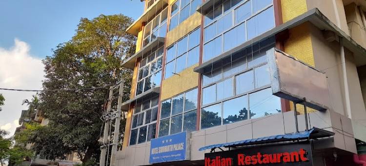 赛达斯宫酒店(Hotel Siddarth Palace)图片
