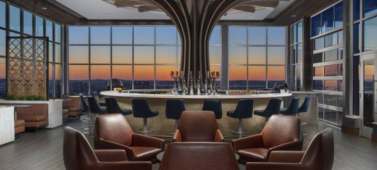 诺克斯维尔市中心希尔顿安泊酒店(Embassy Suites by Hilton Knoxville Downtown)图片