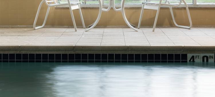 希尔顿欢朋套房酒店-罗切斯特北(Hampton Inn & Suites Rochester-North)图片