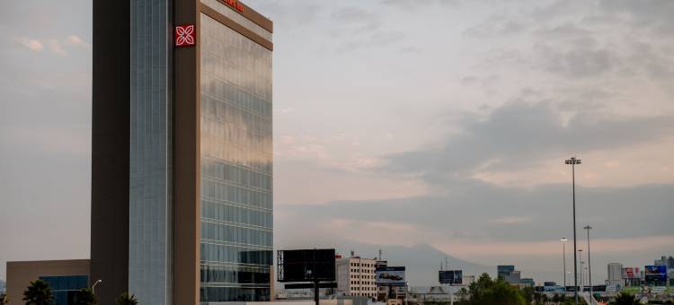 墨西哥普埃布拉安荷洛波里斯希尔顿花园酒店(Hilton Garden Inn Puebla Angelópolis)图片
