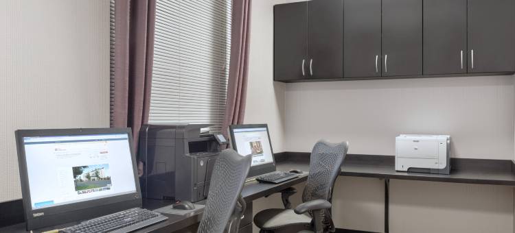 斯普林菲尔德希尔顿花园旅馆(Hilton Garden Inn Springfield, MA)图片