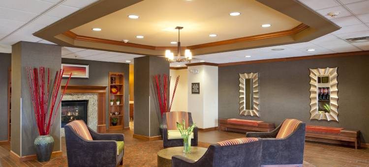 希尔顿欢朋套房酒店-圣路易斯切斯特菲尔德(Hampton Inn & Suites St. Louis/Chesterfield)图片