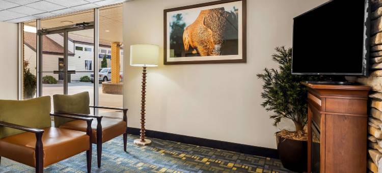 张伯伦李斯贝斯特韦斯特酒店(Best Western Lees Motor Inn)图片