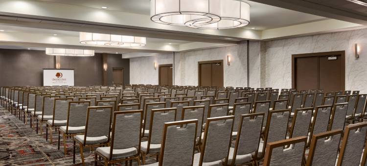 多伦多机场西希尔顿逸林酒店(DoubleTree by Hilton Hotel Toronto Airport West)图片