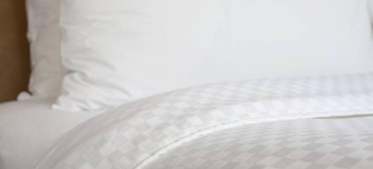 福朋喜来登里贾纳酒店(Four Points by Sheraton Regina)图片