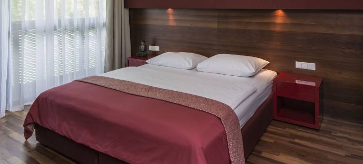 莱奥本酒店及亚洲水疗(Asia Hotel & Spa Leoben)图片