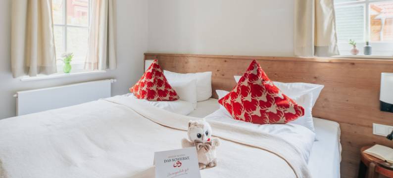 达斯施奇赫哈尔斯布罗肯度假村(Das Schierke Harzresort)图片