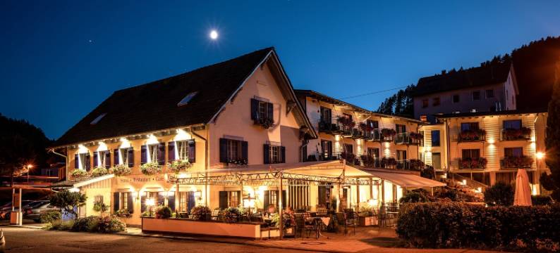 瓦尔德布里克酒店(Hotel Waldblick)图片