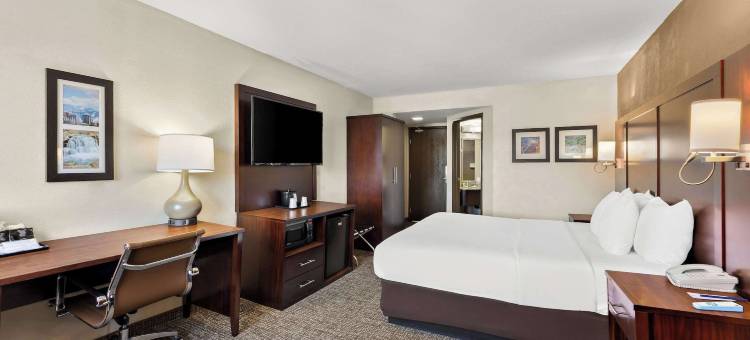 盐湖城雷顿舒适酒店(Comfort Inn Layton - Salt Lake City)图片