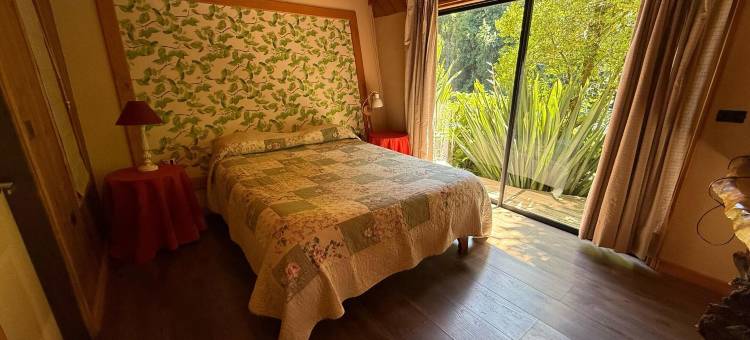 萨尔托德尔卡里勒富酒店(Hotel Salto del Carileufu)图片