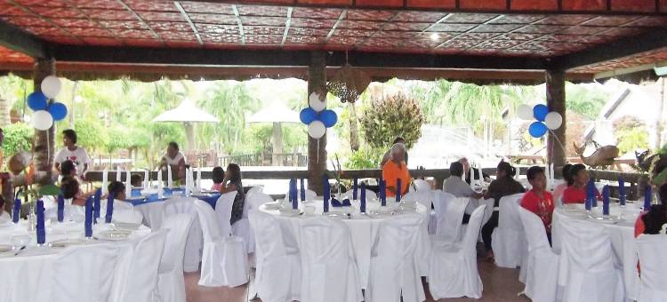 椰子树林自然水疗度假村(Coco Grove Nature Resort)图片