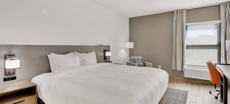 舒适酒店(Comfort Inn)图片