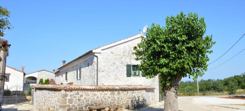 维伦尼奇别墅酒店(Villa Veleniki)图片