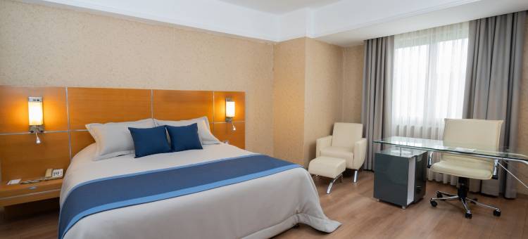 代尼兹利阿奈蒙酒店(Anemon Grand Denizli Otel)图片