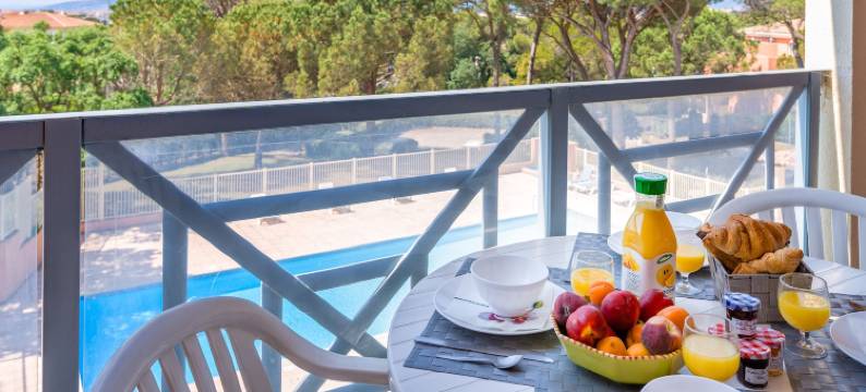 拉格朗大松树酒庄假日住宅酒店(Lagrange Vacances le Domaine des Grands Pins)图片