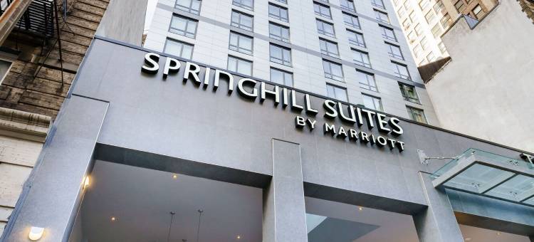 SpringHill套房马里奥特纽约曼哈顿/切尔西(SpringHill Suites New York Manhattan/Chelsea)图片