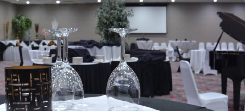 塞勒姆假日酒店(Holiday Inn SALEM by IHG)图片