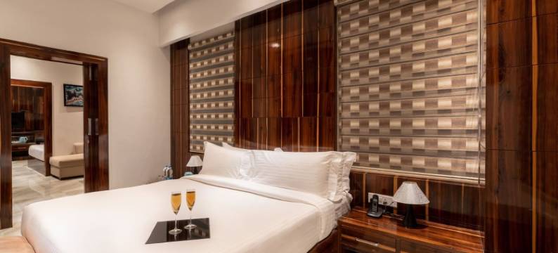 阿姆巴拉克拉克斯酒店(Clarks Inn Ambala)图片