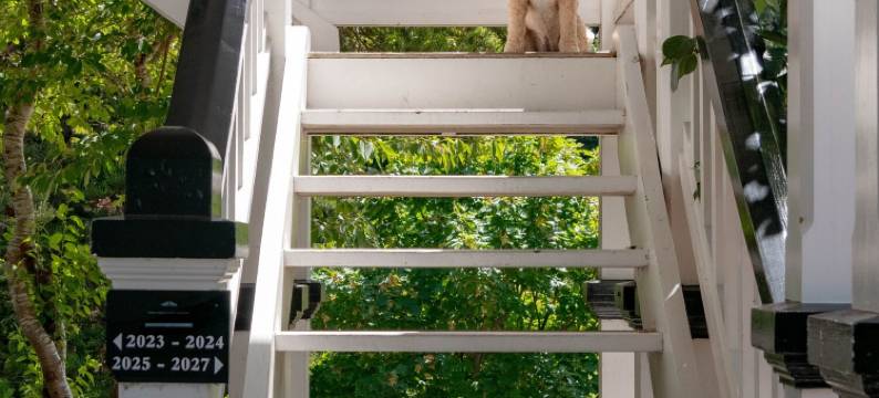 露台别墅服务式公寓(The Terrace Villas Serviced Apartments)图片