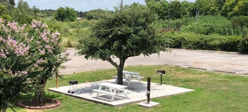 6克卢特汽车旅馆(Motel 6 Clute, TX)图片