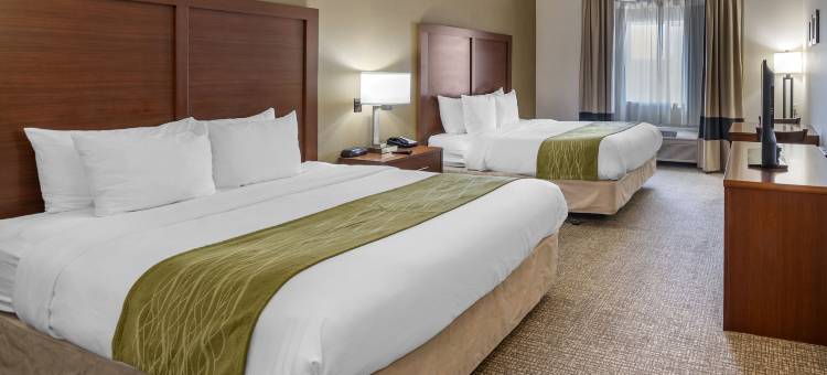 中庭酒店(The Atrium Hotel - SFO Airport Free! - Shuttle Bus - Parking - Wifi)图片