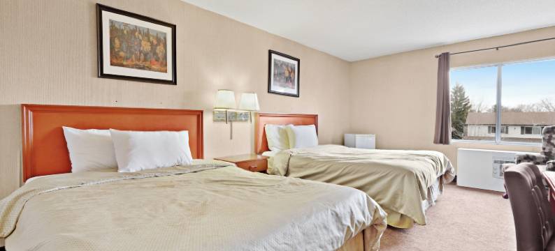 尼亚加拉乡间套房酒店(Niagara Lodge & Suites)图片