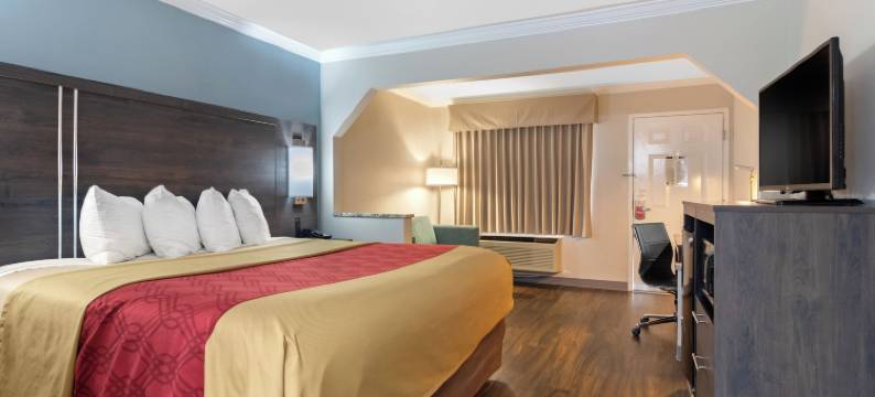 伊康酒店-拜仁/华纳罗宾(Econo Lodge Byron - Warner Robins)图片