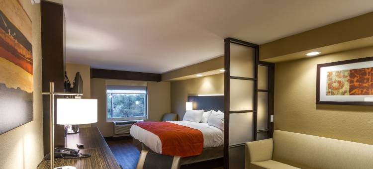 圣安东尼奥医疗六旗智选假日套房酒店(Holiday Inn Express & Suites San Antonio Medical-Six Flags)图片