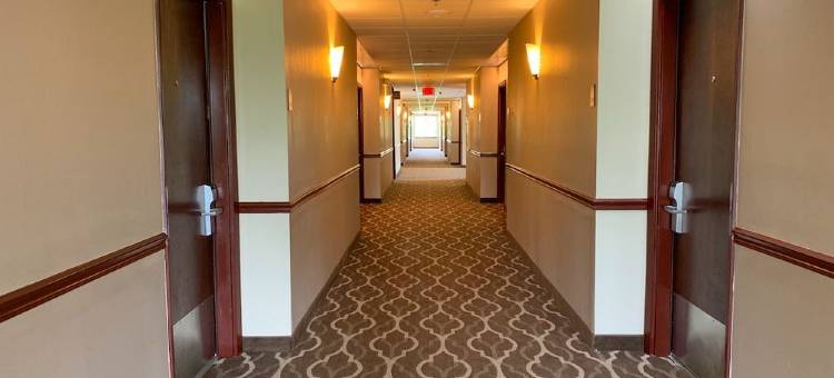 舒适套房酒店-德克萨斯大道(Comfort Suites Texas Ave)图片