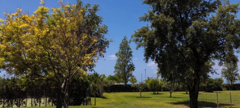 波戈弗兹水疗度假酒店(TH Praia - Borgo di Fiuzzi Resort & Spa)图片