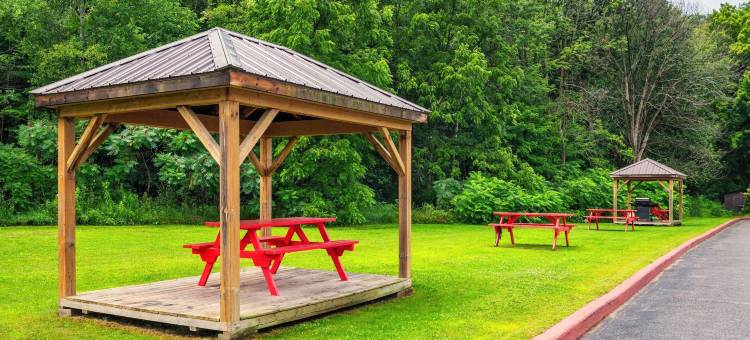 舒适酒店(Comfort Inn Midland)图片