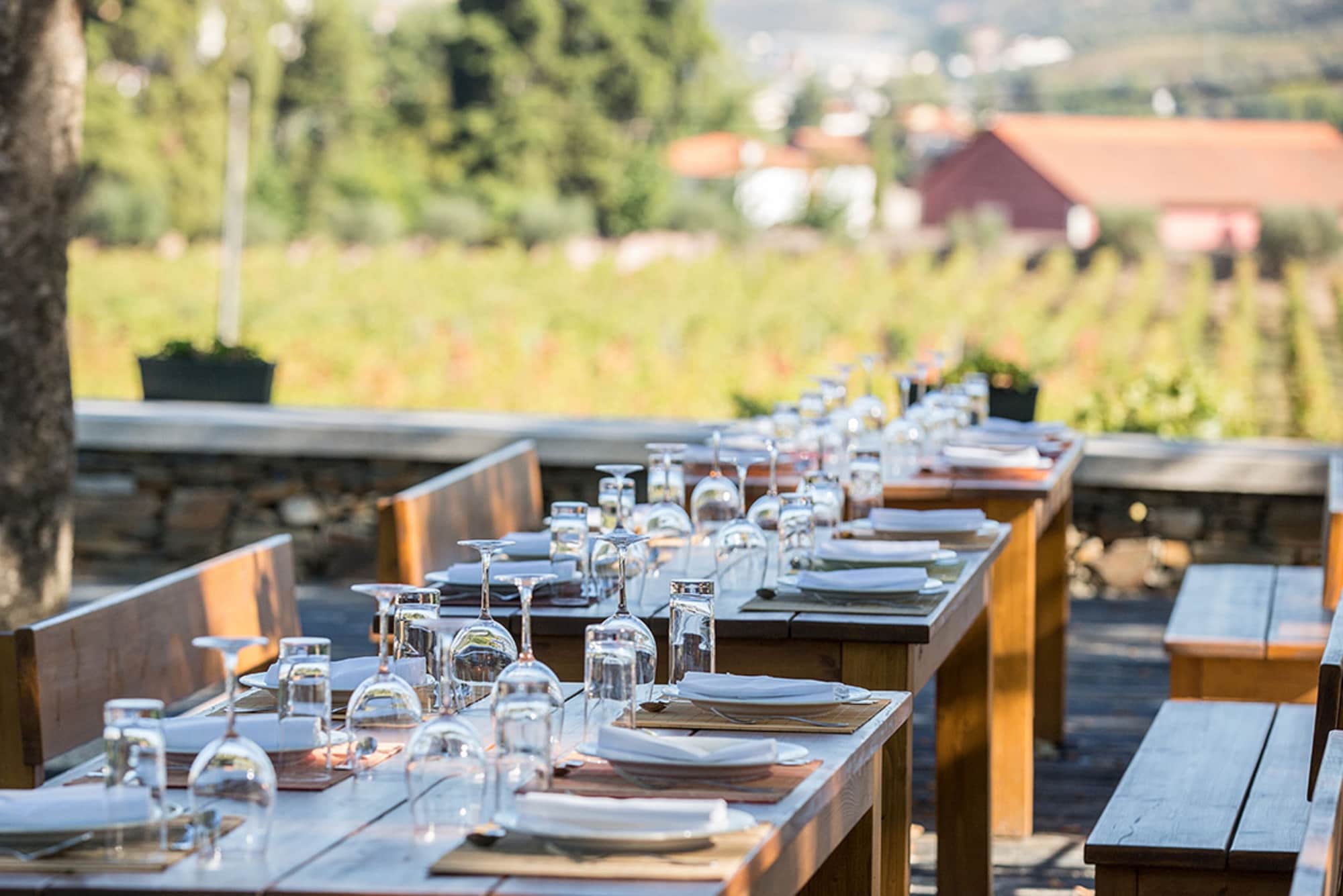 Quinta da Pacheca Over view