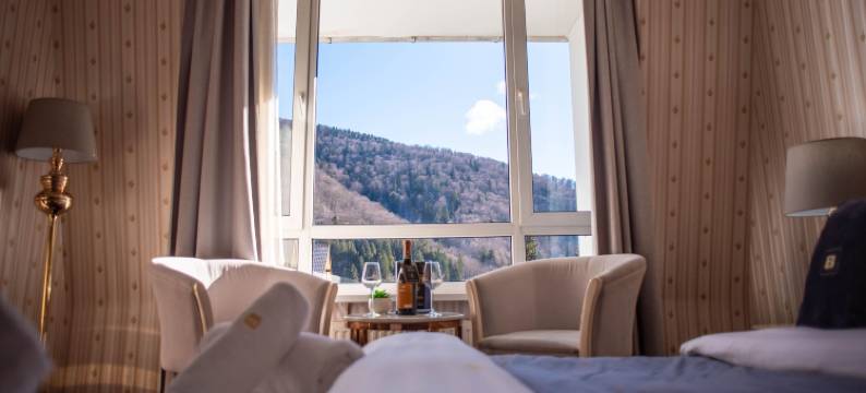 喀尔巴阡别墅(Hotel Carpathia)图片