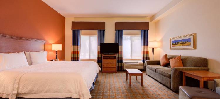 希尔顿欢朋套房酒店-安大略CA酒店(Hampton Inn & Suites Ontario)图片