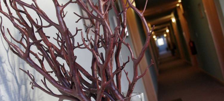 Holiday Inn Express 马德里 - 赫塔费(Holiday Inn Express Madrid - Getafe)图片