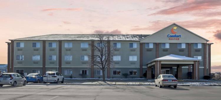 大学区舒适套房标准酒店(Comfort Suites Normal University Area)图片