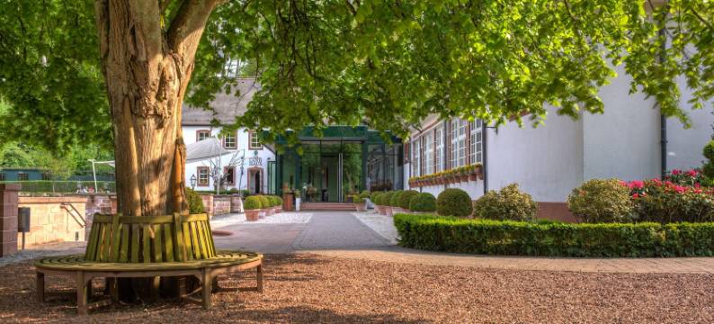 法萨奈瑞兰德城堡罗曼蒂克酒店(Romantik Hotel Landschloss Fasanerie)图片