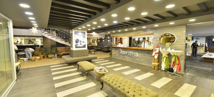 萨里卡米斯原生态酒店(Sarikamis Habitat Hotel)图片