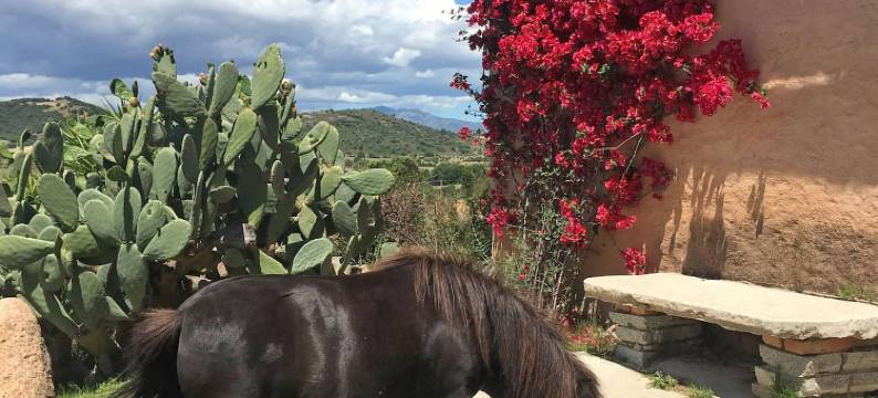 博尔戈迪坎帕尼亚酒店(Borgo di Campagna)图片