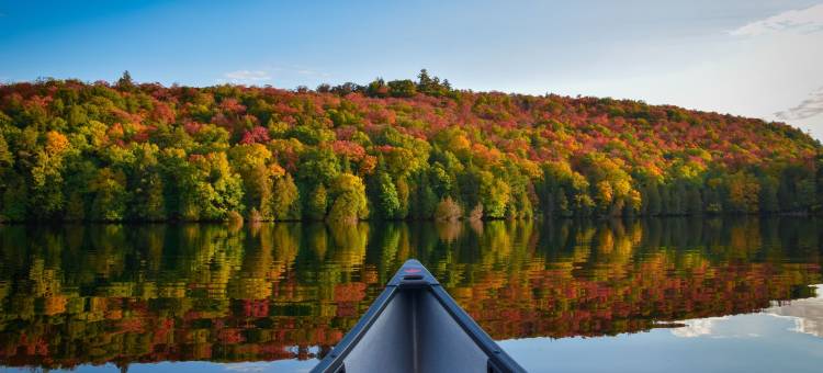 舒适酒店(Comfort Inn)图片
