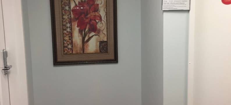 因尼斯费尔旅游套房酒店(Travel Inn & Suites)图片