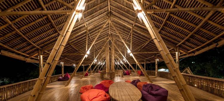 武吉拉旺经济小屋(Ecolodge Bukit Lawang - Hotel&Jungletrek)图片