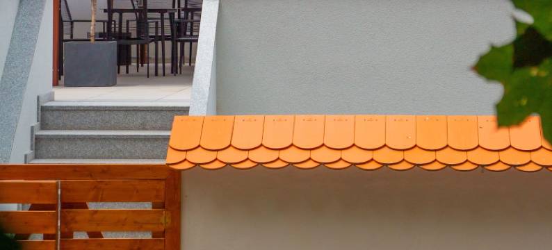 浪人(Wanderer Sighisoara)图片