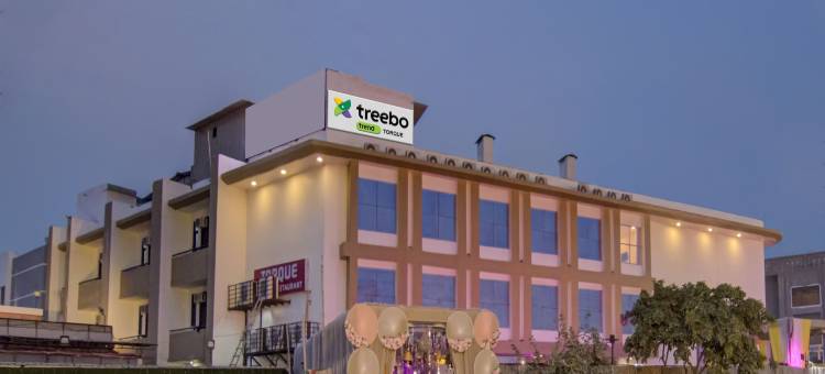 Treebo 托克(Treebo Torque)图片