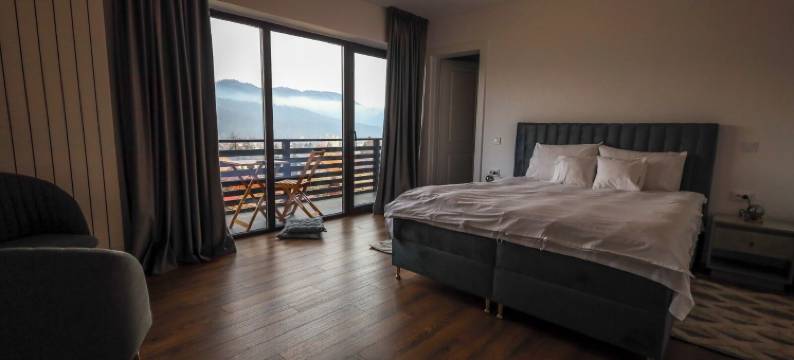 城市视角(Pensiunea CityView)图片