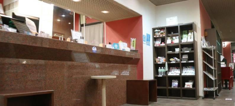 滨松车站酒店(Hamamatsu Station Hotel)图片