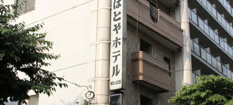 哈托娅酒店(Hatoya Hotel)图片