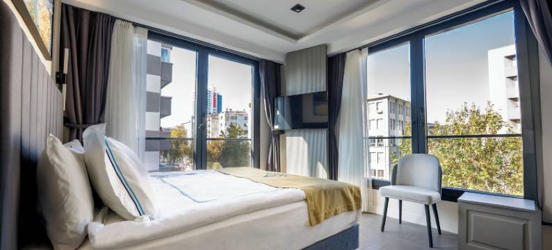 阿利翁酒店(Alion Hotel)图片